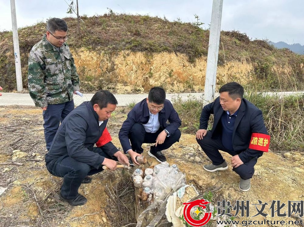 田永富到德化乡调研指导茯苓产业