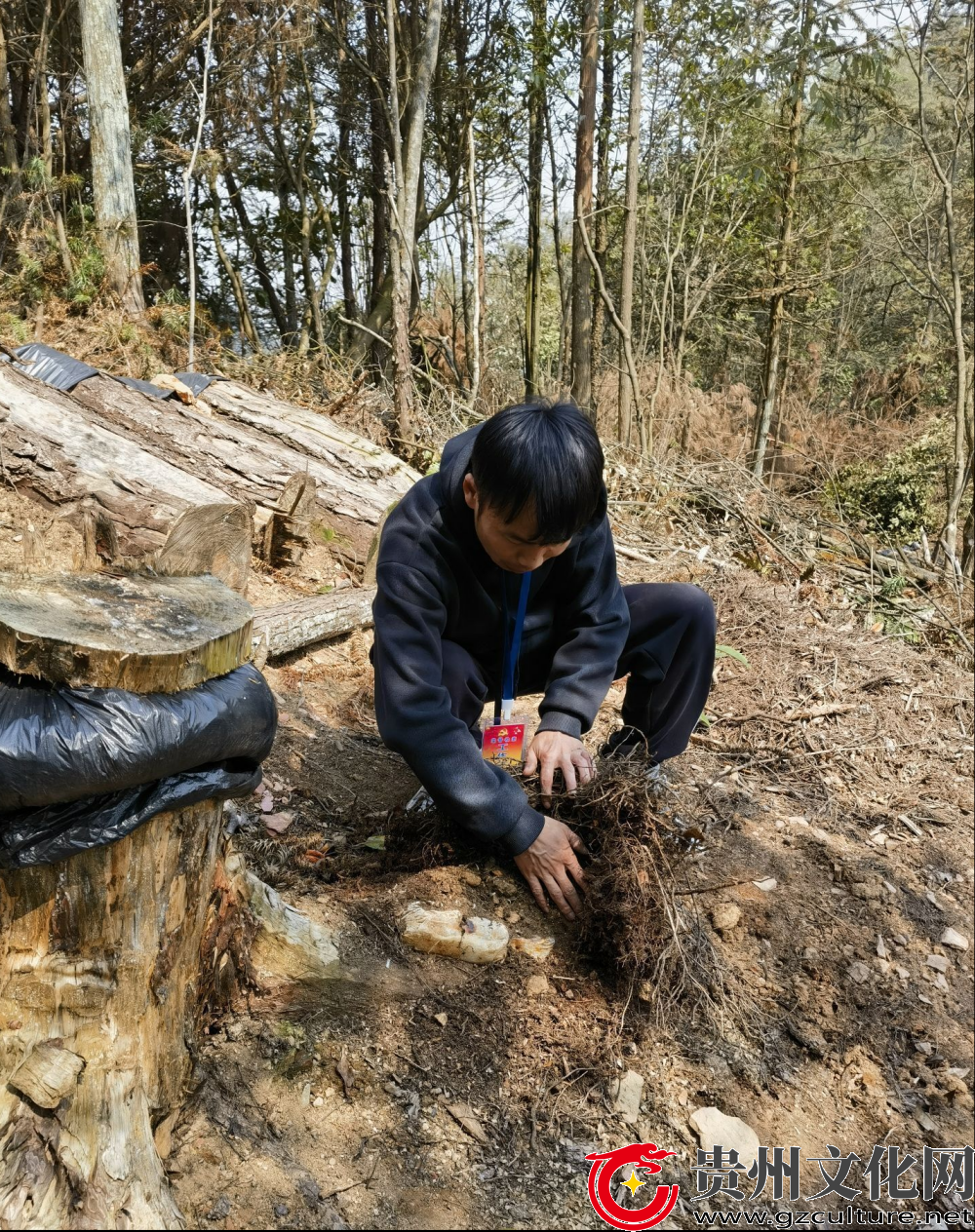 雷洞乡：紧跟踪，盯实施 织好产业监督防护网