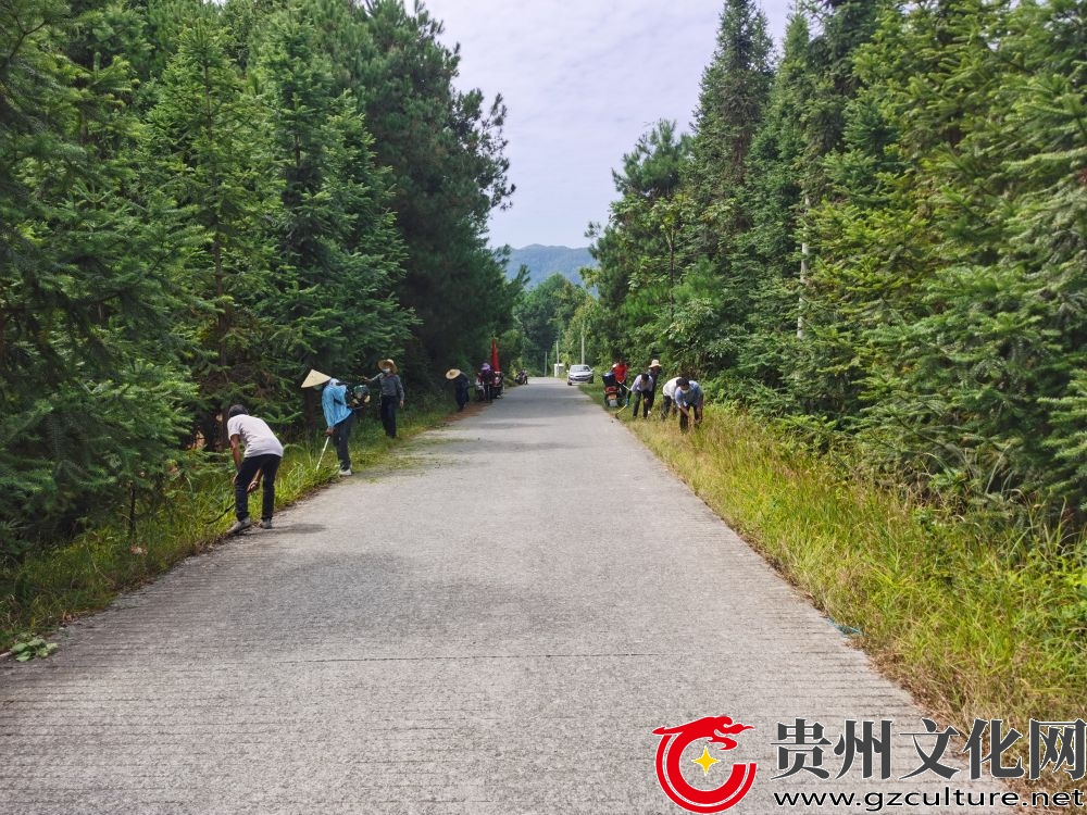 雷洞乡：党建引领农村道路展“新颜”