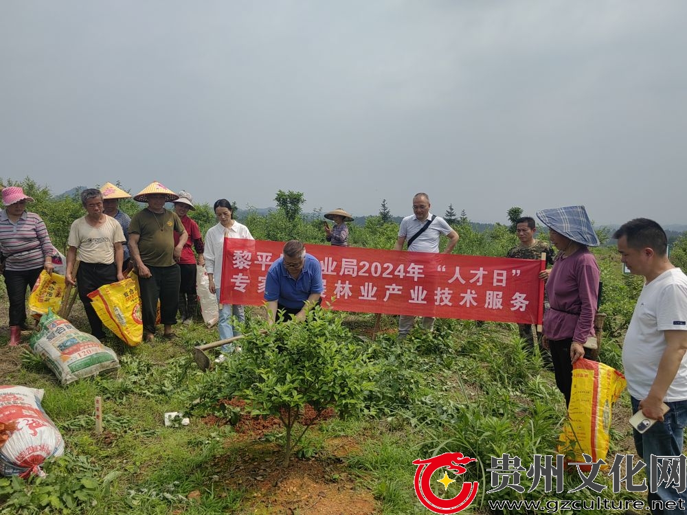 黎平县：林业专家送技下乡 油茶特产做大做强