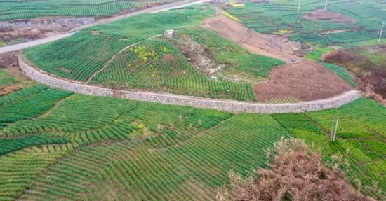 贵州六盘水：田畴织锦绣 沃野绘“丰”景