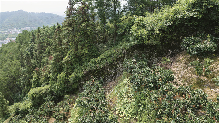 清浪卫城山脊处局部城垣.jpg