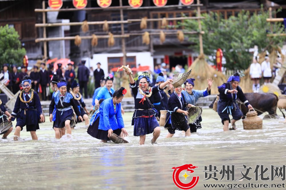 贵州黎平：绿菌铺野换新光，满栽满种“关秧门”