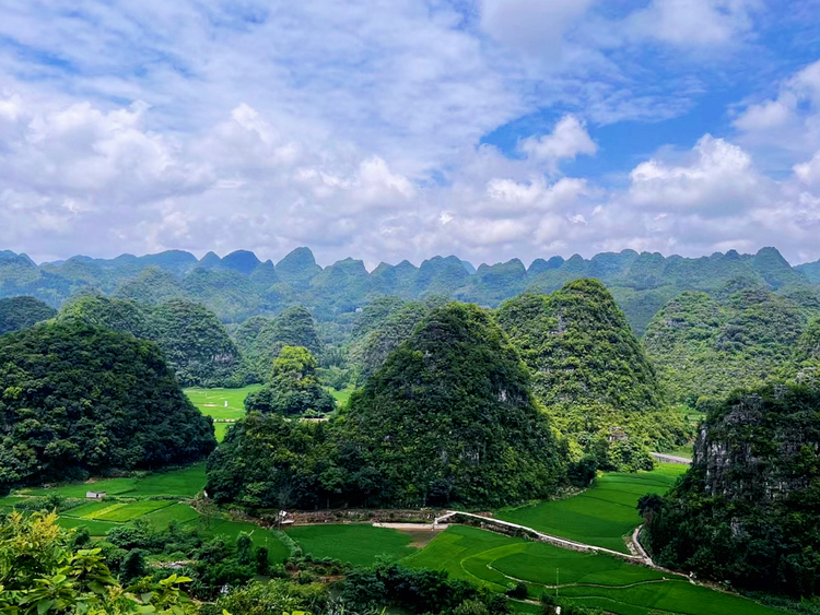 文化中国行｜万峰成林处 诗画山水间