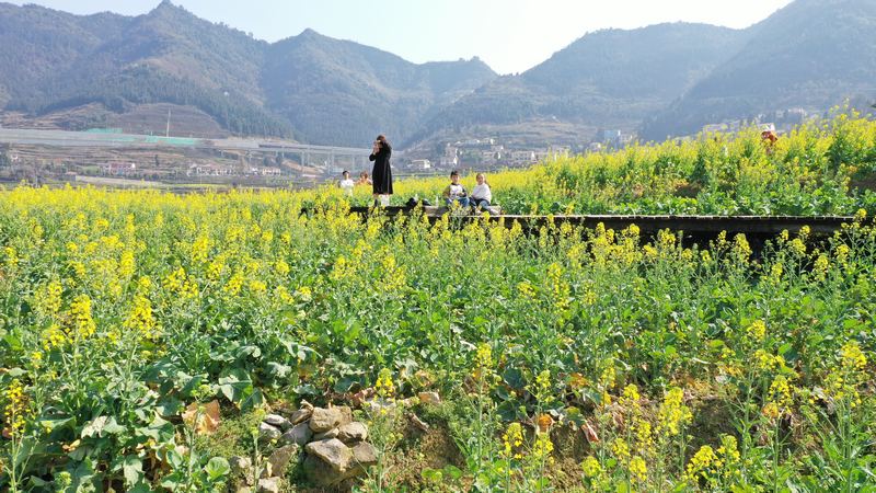 神采八卦园游客照 （余甚君拍摄）.JPG