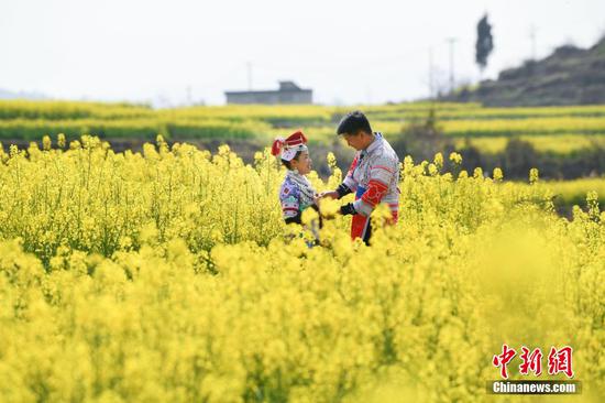 图为民众身着苗族服饰在油菜花田进行拍照。陈孝新摄