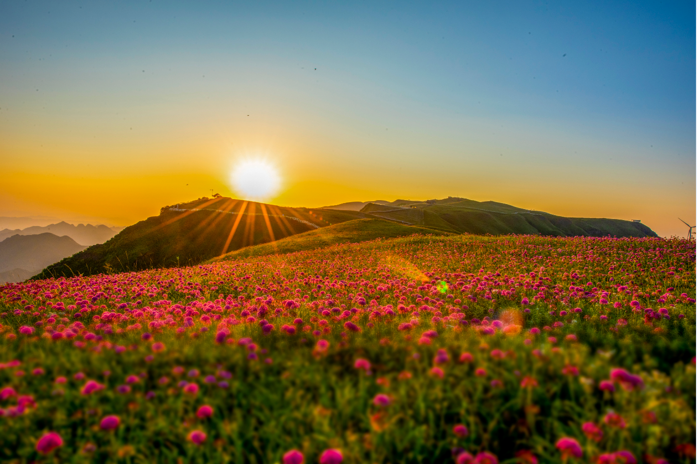 “云上花海”韭菜坪景观。（李学友 摄 贵州图片库供图）.png