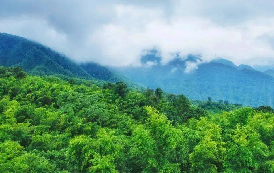 到贵州空气清新的山林间，做最快乐的自己！