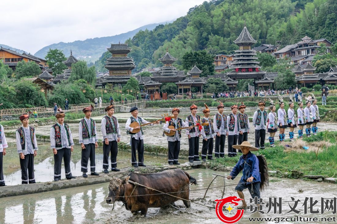 黎平县：文化旅游强劲复苏显成效