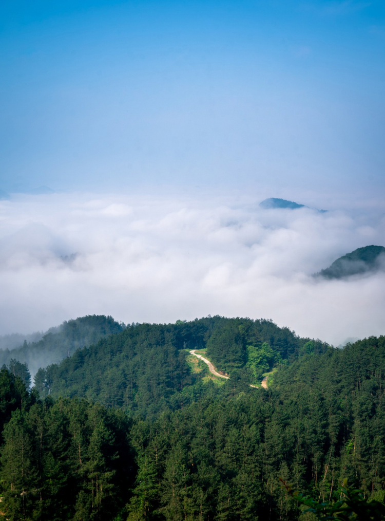 开阳高寨：山峦连天映云海