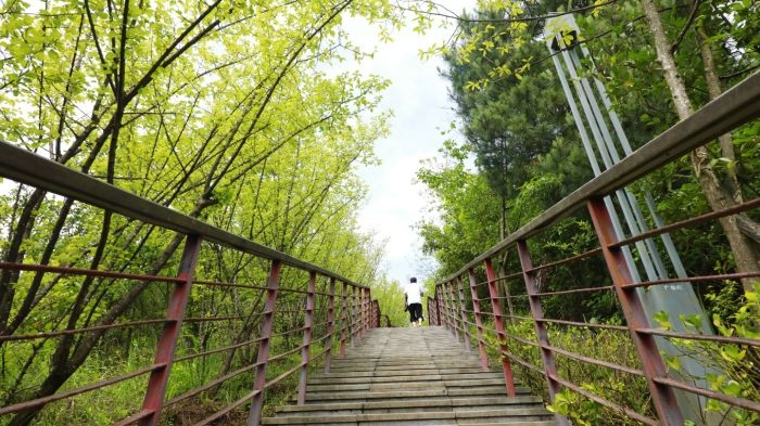 5 翻修、维护过后的登山步道