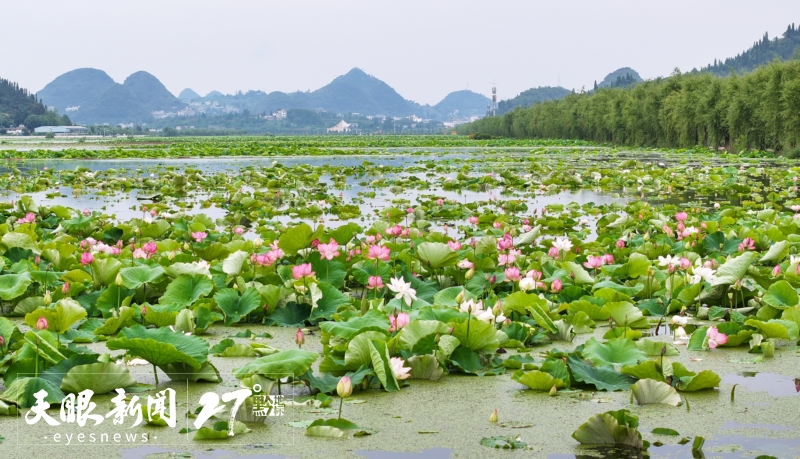 夏至：从展厅到山间，一座座夏日花园盛放贵州