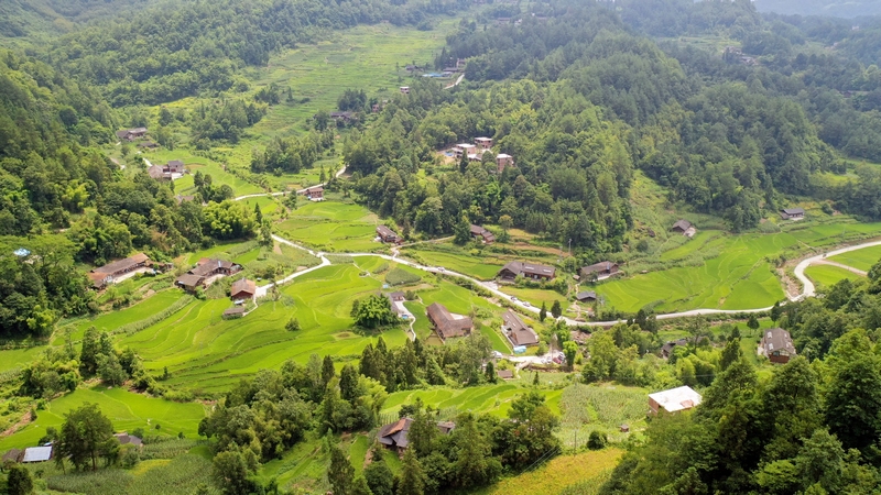 梧桐山民宿俯瞰图景