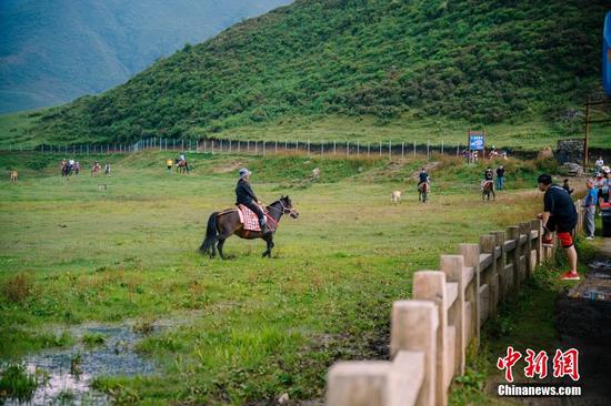 可以在西南地区海拔最高、面积最大的草场——乌蒙大草原，策马奔腾。