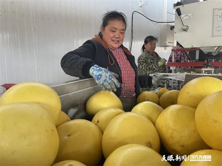 中欧班列冷链物流上的黔东南“乘客”