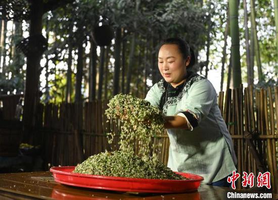 图为把糯米与野菜、腊肉等混合在一起。谢慧芳 摄