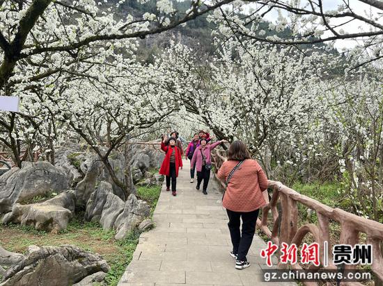 成群结队的游客沉醉在这片花海中，赏花观景、拍照打卡 。