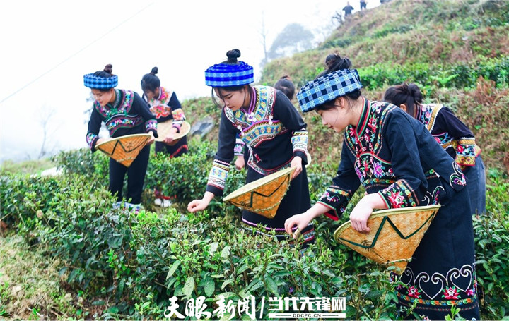 2024年“八步紫茶文化节”活动现场.jpg