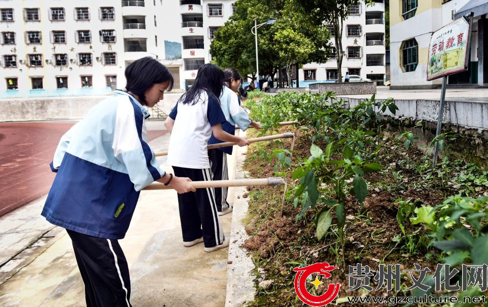 贵州从江:劳动教育助力“双减”