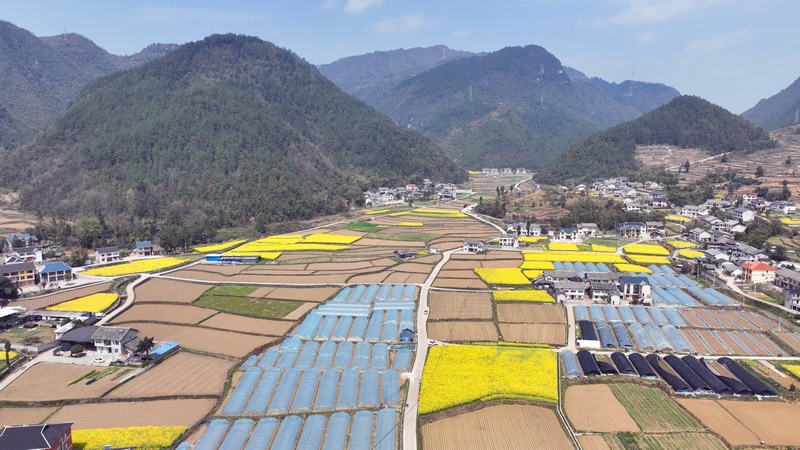 （图6）遵义市绥阳县风华镇粮油种植基地.jpg