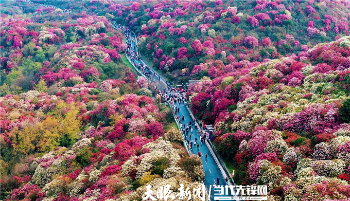 春风中 如约而至的贵州文旅盛会