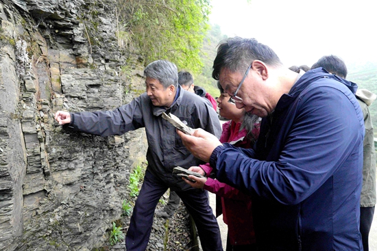 贵州绥阳全力推动双河洞申报世界自然遗产_fororder_申遗科考现场  李前勇摄6