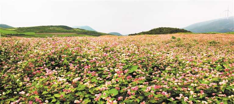 威宁：推进全域旅游　谱写发展新篇