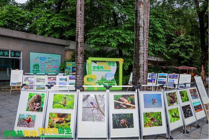 生物多样性展览活动现场。