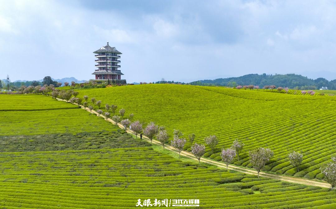 位于湄潭县永兴镇的中国茶海景区.jpg