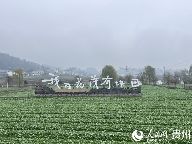 古纸画新貌 贵州花茂村年年新