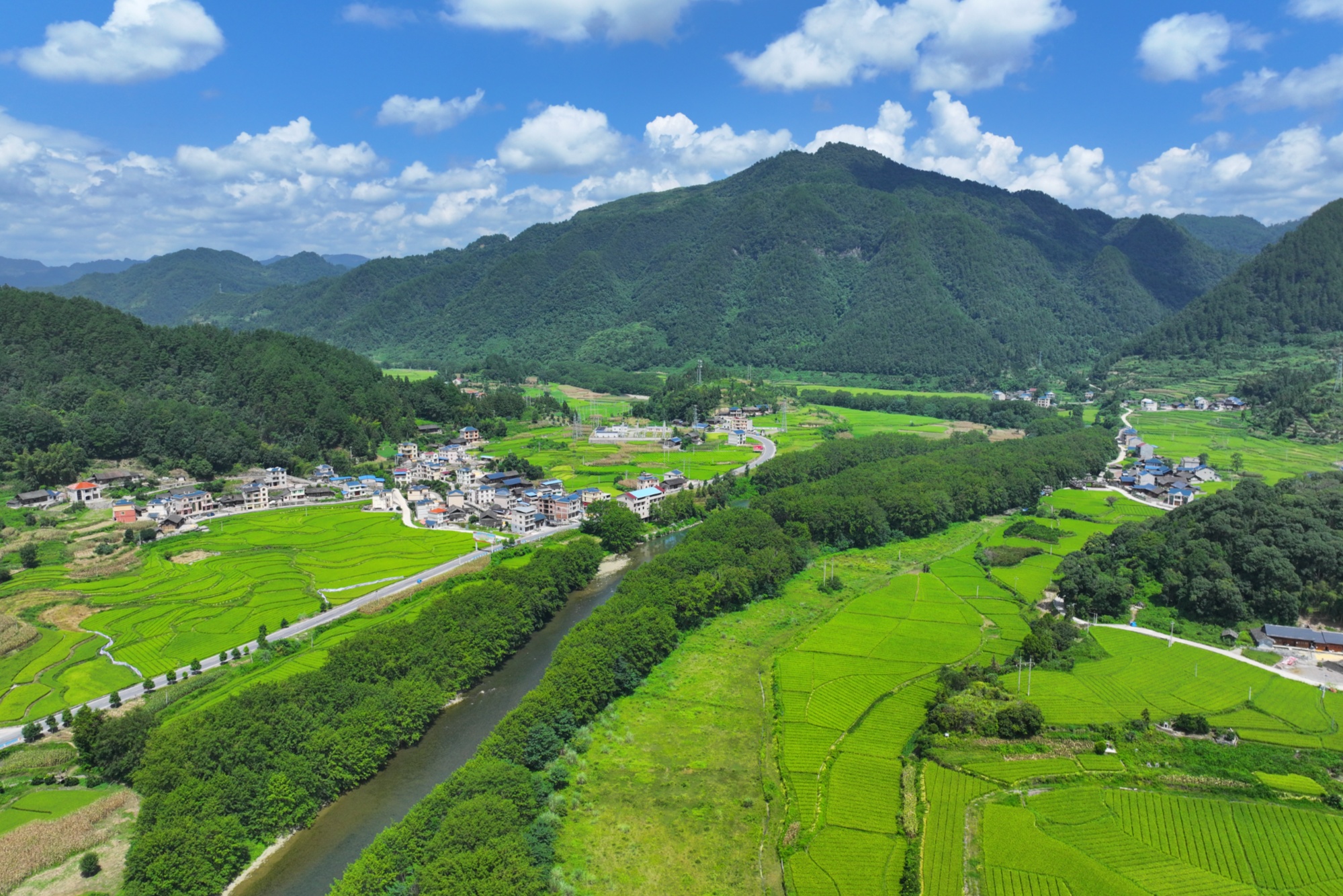 贵州岑巩：守好一河碧水 护住渔业资源