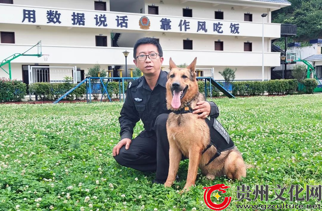 身边榜样 | 训犬员张健：别样的“战友情” 诠释独特的“藏蓝梦”