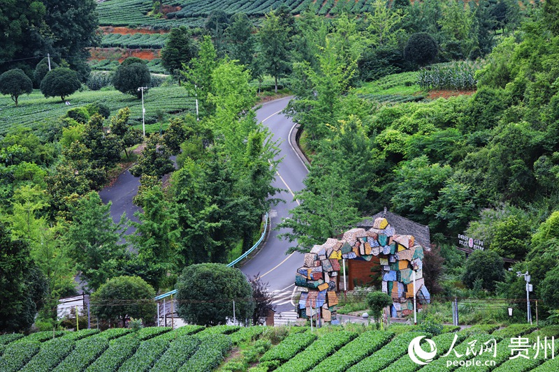 以路兴茶 以茶促旅 遵义湄潭：一条路“串”起山乡群众幸福生活