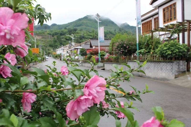 “五治”示范点-南江乡苗寨村。