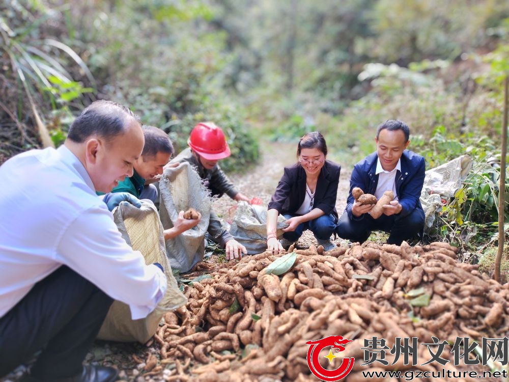 黎平县茅贡腊洞：党建引领赋动能 乡村振兴谱新篇