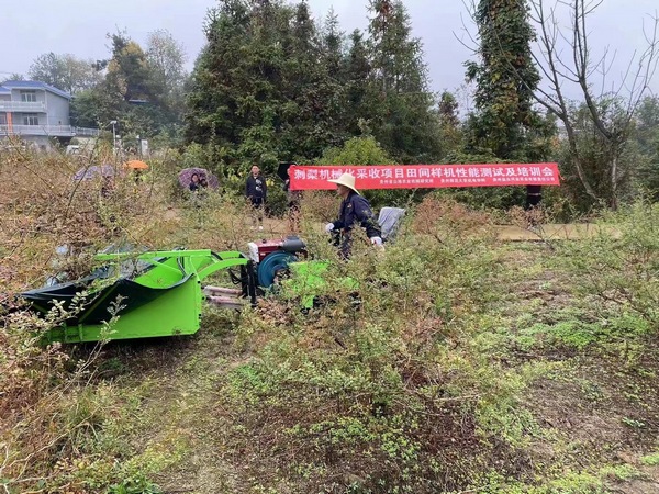 刺梨收获机性能测试及培训现场。