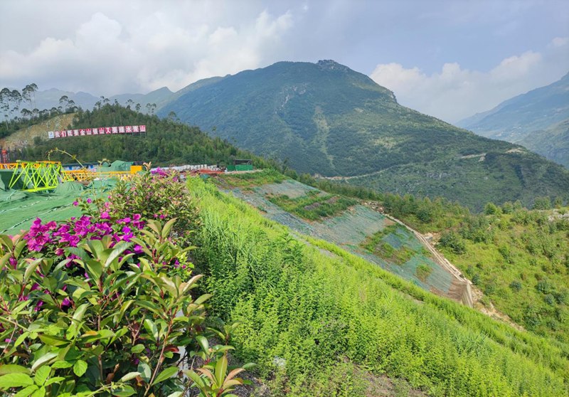 拼装场填方边坡绿化。