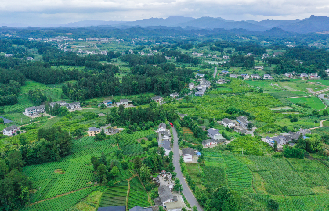 湄潭县湄潭27°茶海路。贵州日报天眼新闻记者 刘青摄.jpg