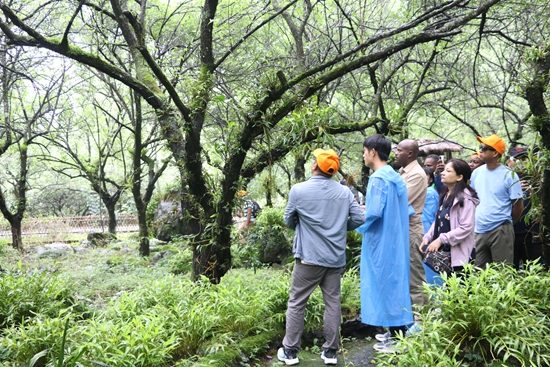 发展中国家生物多样性可持续发展研修班贵州荔波研修之旅圆满结束_fororder_在黎明关水族乡万亩梅参观君子台梅兰石斛产业示范基地.JPG