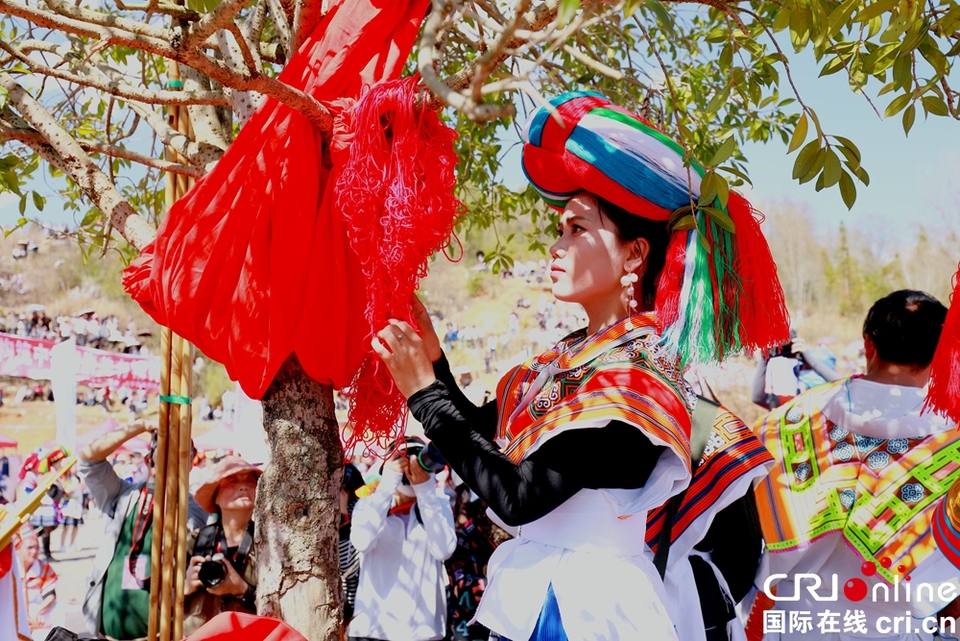 贵州钟山：万人齐聚跳花树祭祖先_fororder_微信图片_20240325164156