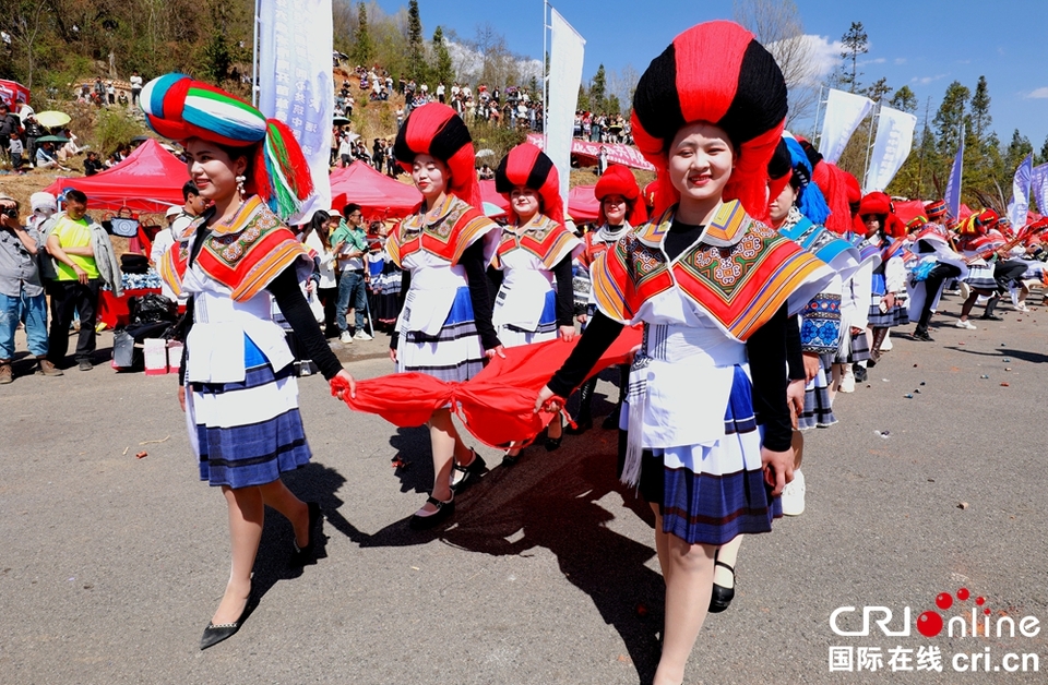 贵州钟山：万人齐聚跳花树祭祖先_fororder_微信图片_20240325164228