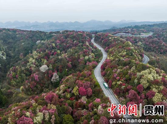 贵州毕节：“地球彩带”进入最佳观赏期