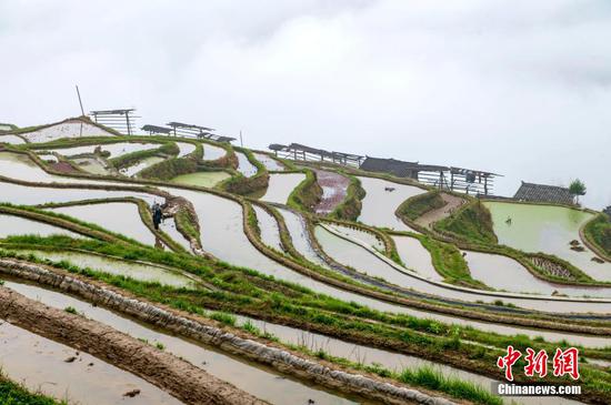 贵州省从江县加榜梯田。