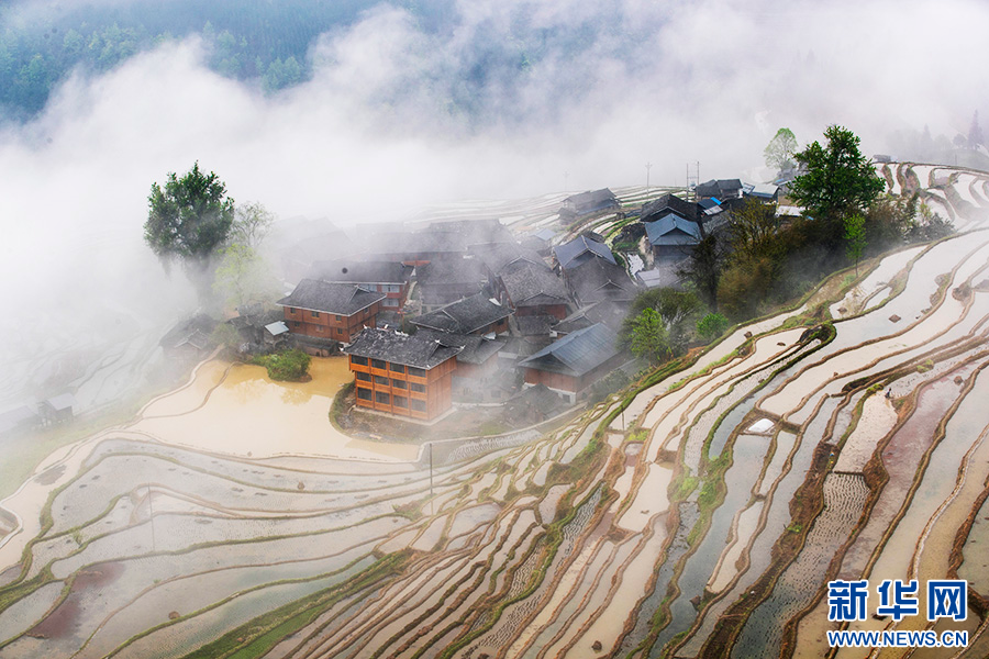 贵州从江：雾漫梯田