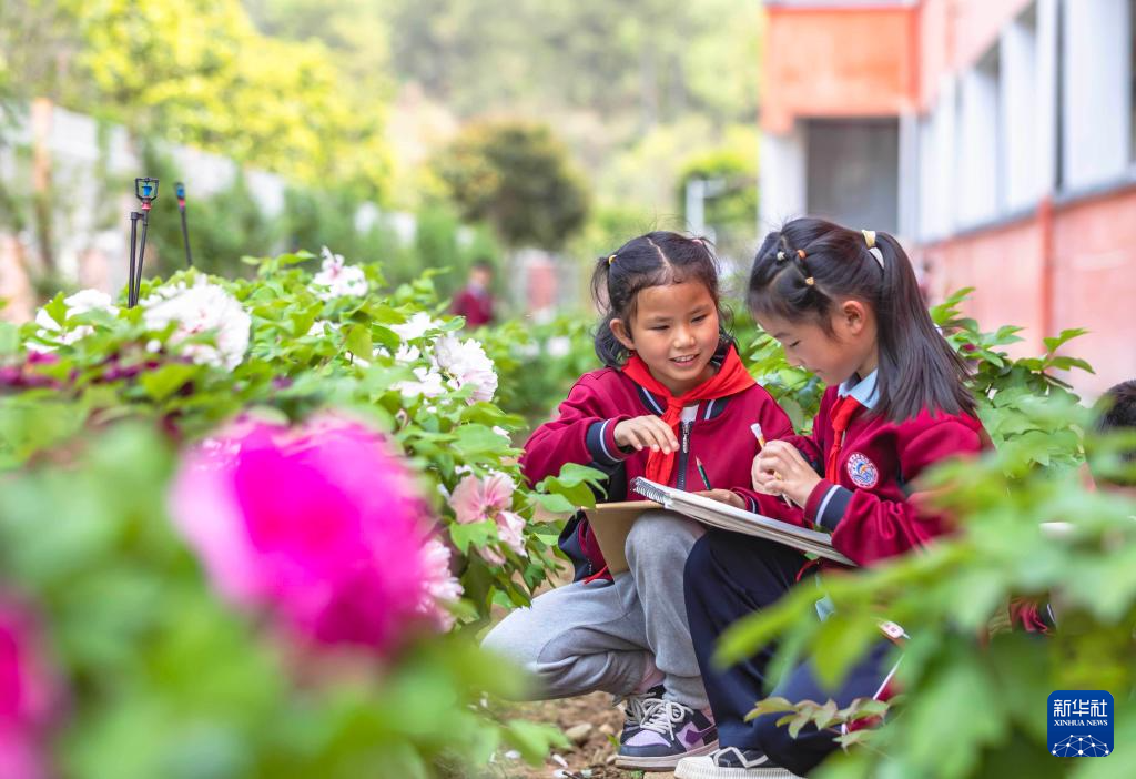 踏青研学正当时