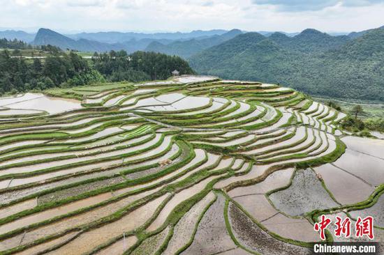 贵州贵定腊利梯田层层叠叠 宛如大地调色板