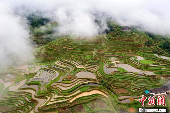 图为贵州省从江县翠里瑶族壮族乡岑丰村的田园风光。吴德军 摄