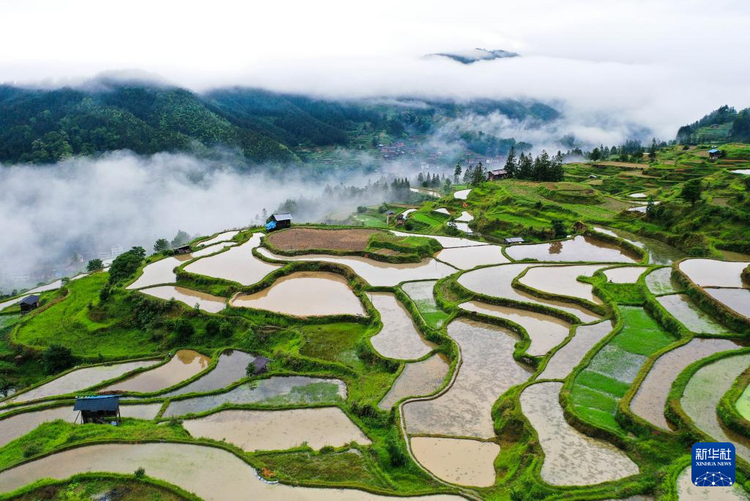 贵州黎平：梯田新雨后 美景入画来