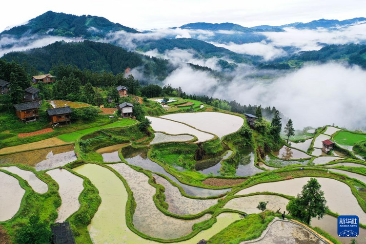 贵州黎平：梯田新雨后 美景入画来