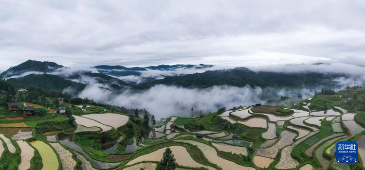 贵州黎平：梯田新雨后 美景入画来